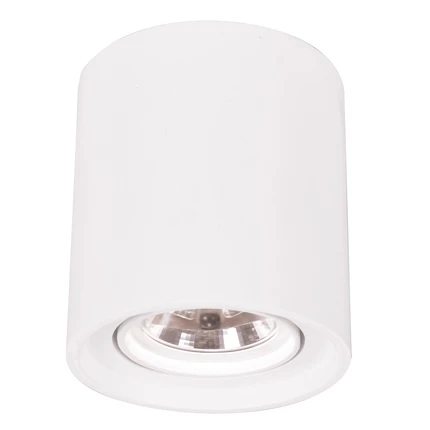 Точечный накладной светильник Arte Lamp TUBO A9262PL-1WH